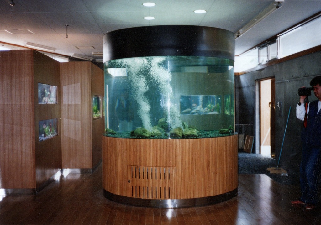 宮崎県 須木村役場 淡水魚水族館